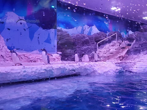 Aquarium SEA LIFE Paris Val d Europe