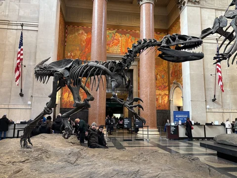 American Museum of Natural History