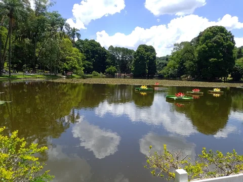 Parque Estadual Alberto Lofgren