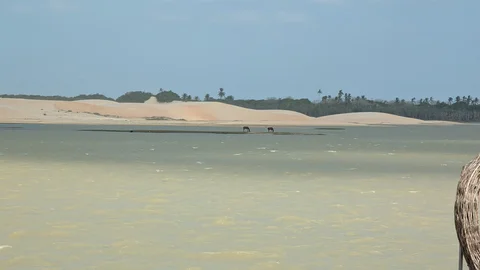 Lagoa da Torta