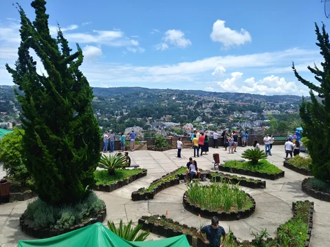 Morro do Elefante