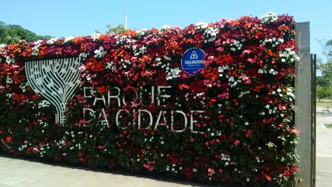 Parque da Cidade Joventino Silva