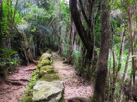 Bosque da Mae dAgua