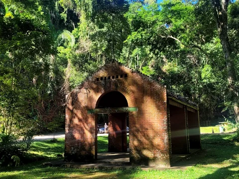 Trilha do Pico da Tijuca