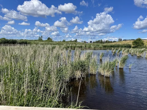 Naturcenter Amager