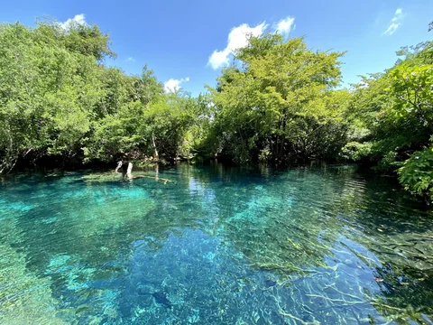Reserva Ecologica Ojos Indigenas