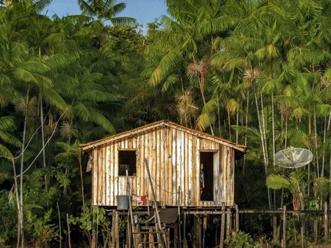 Ilha do Combu