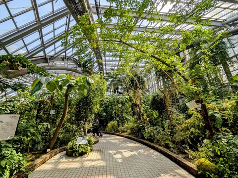 Kyoto Botanical Garden