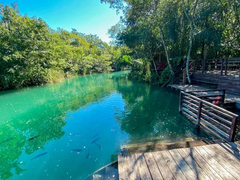 Mirante do Bosque das Aguas