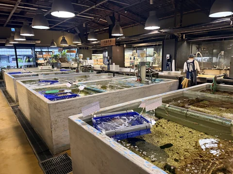 Addiction Aquatic Development