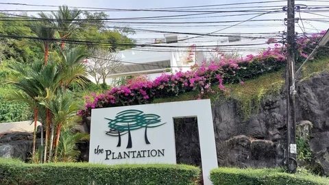 The Plantation Club
