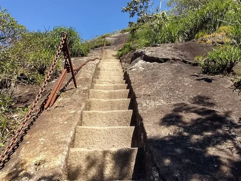 Trilha do Pico da Tijuca