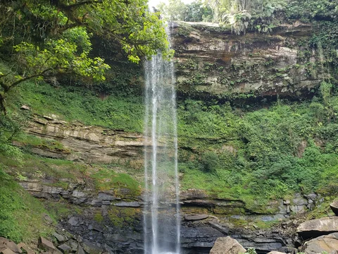 Parque Natural Municipal da Mata do Engenho Uchôa