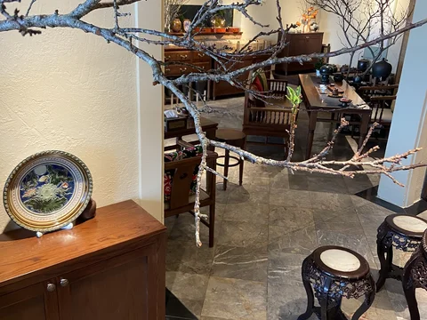 Hồ Tây Lotus Tea Experience
