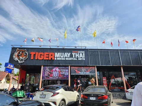 Tiger Muay Thai