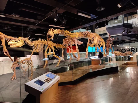 Melbourne Museum