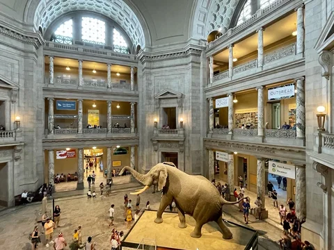 National Museum of Natural History