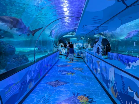 SEA LIFE Busan Aquarium