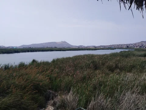 Refugio de Vida Silvestre Pantanos de Villa