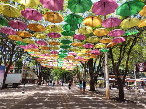 Alameda Maurício de Nassau