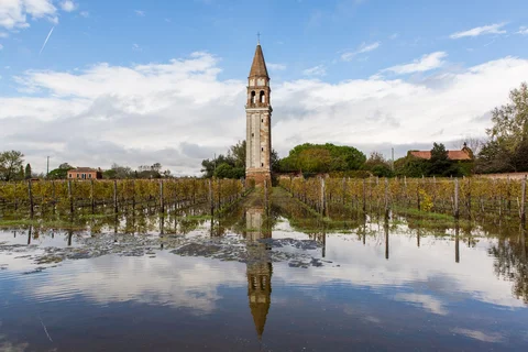 Tenuta Venissa