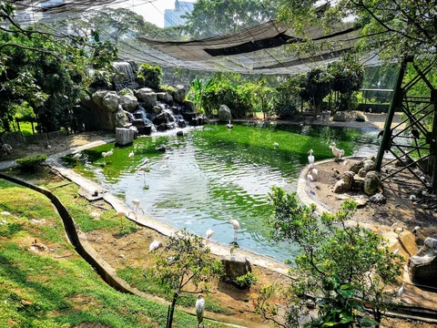 KL Bird Park