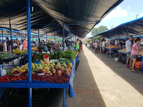 Feira de Peixinhos