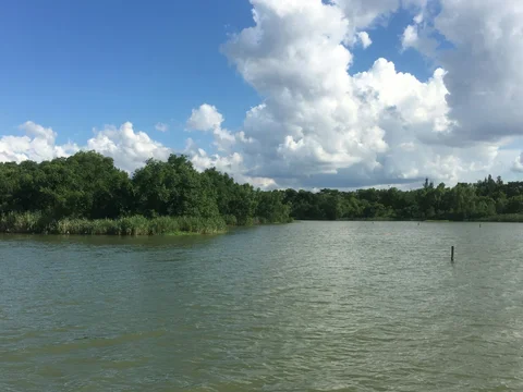 OCT Wetland Park