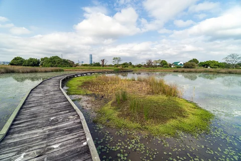 Mai Po Nature Reserve