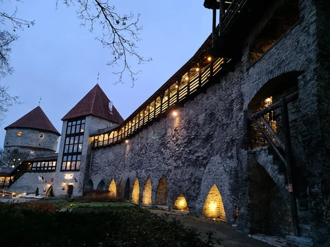 Taani Kuninga Aed