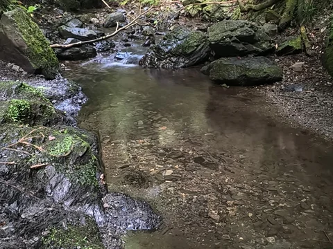 Mount Takao (Trilha 1)