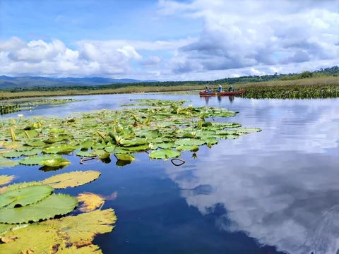 Pantanal dos Marimbus