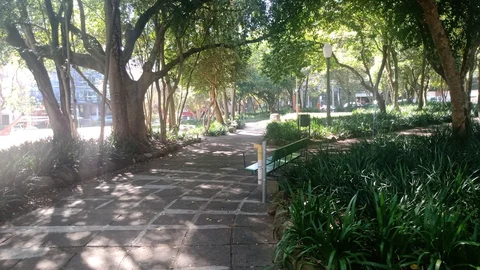 Praca Mauricio Cardoso