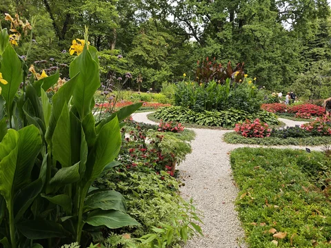 Ogród Botaniczny Uniwersytetu Warszawskiego