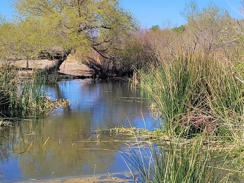 Clark County Wetlands Park Nature Center