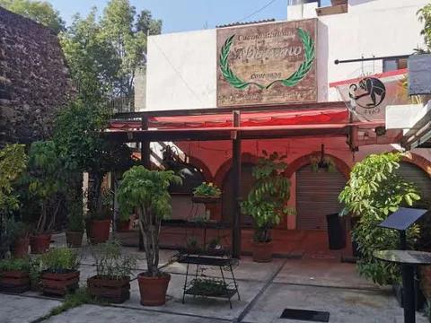 Café de la Selva Coyoacán