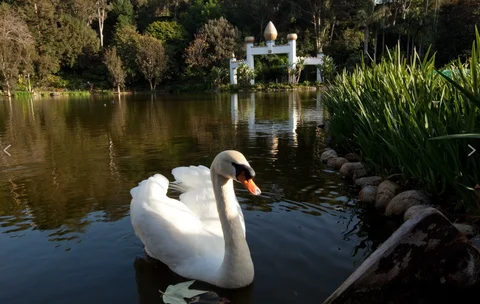 Self-Realization Fellowship Lake Shrine