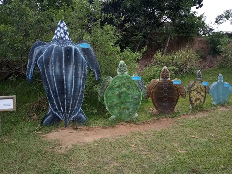 Centro de Visitantes Projeto Tamar Vitoria