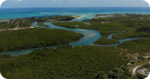 Trilha da Reserva de Camocim