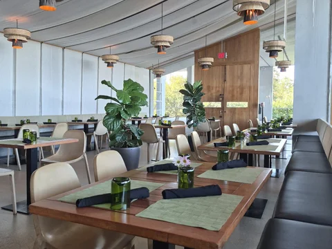 Verde at PAMM