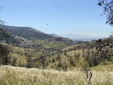 Chouni Gorge Trail