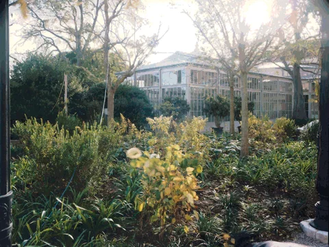 Giardini Reali di Venezia
