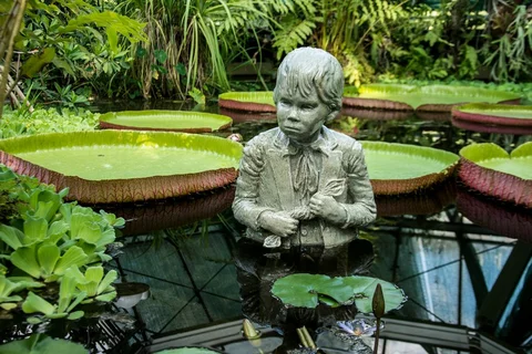 Jardim Botanico ELTE