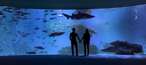 Palma Aquarium