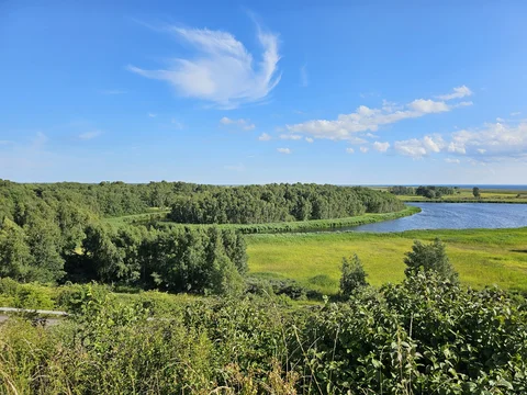 Kalvebod Fælled