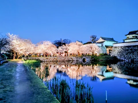 Maizuru Park