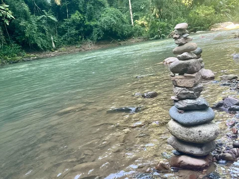 Parque Natural Municipal dos Passaros