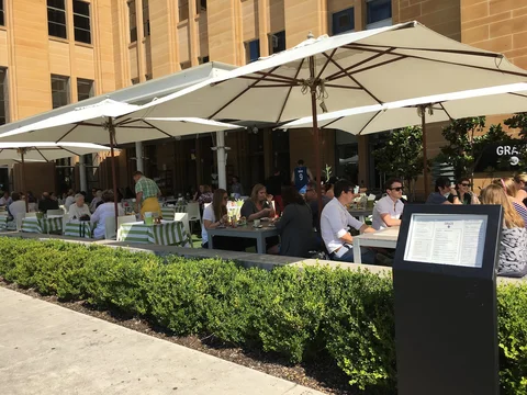 Graze MCA
