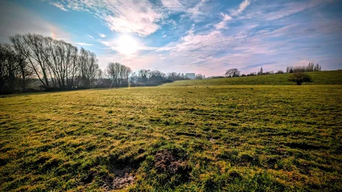 Réserve Naturelle du Scheutbos