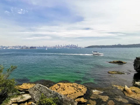Hermitage Foreshore Track